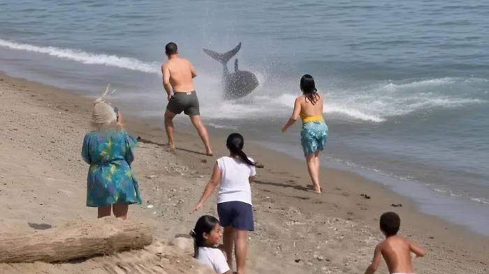 Fear in Marbella: a two-meter tuna chases a swimmer all the way to the ...